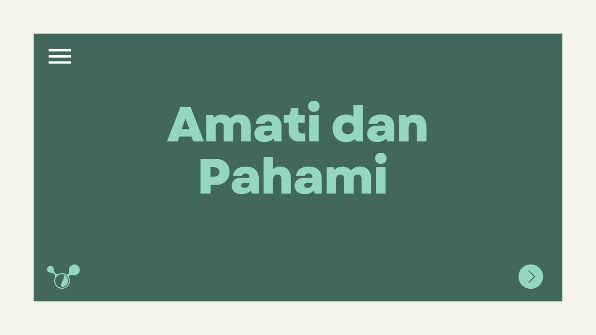 Amati dan Pahami