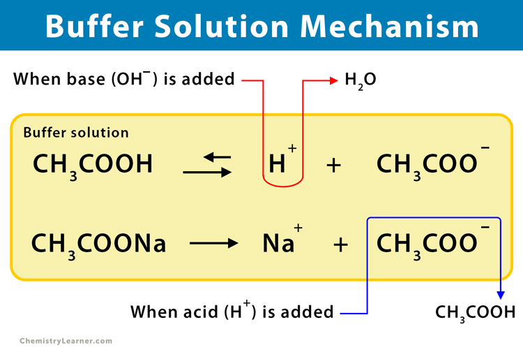Mechanism-Buffer-Solution