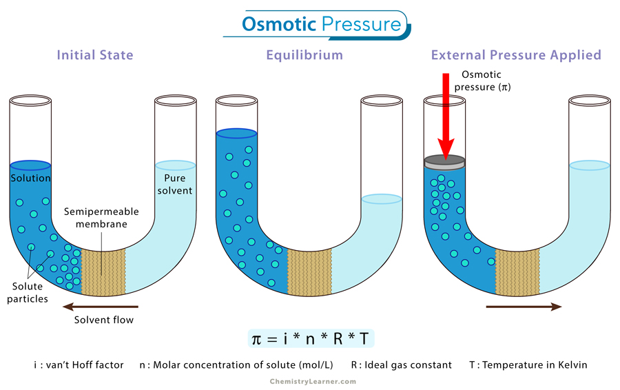 Osmotic-Pressure