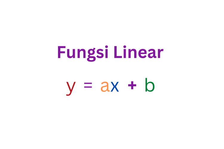 fungsi linier