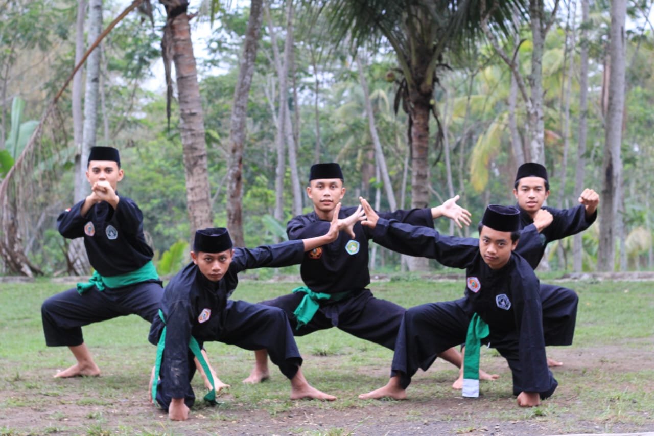 Pencak silat 8