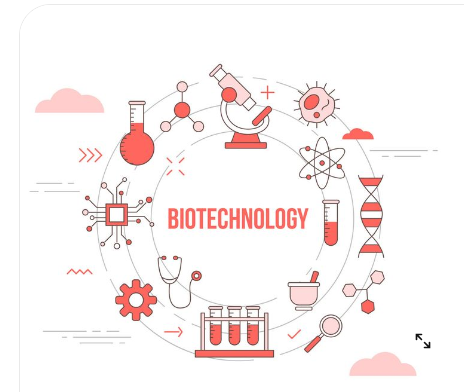 biotek