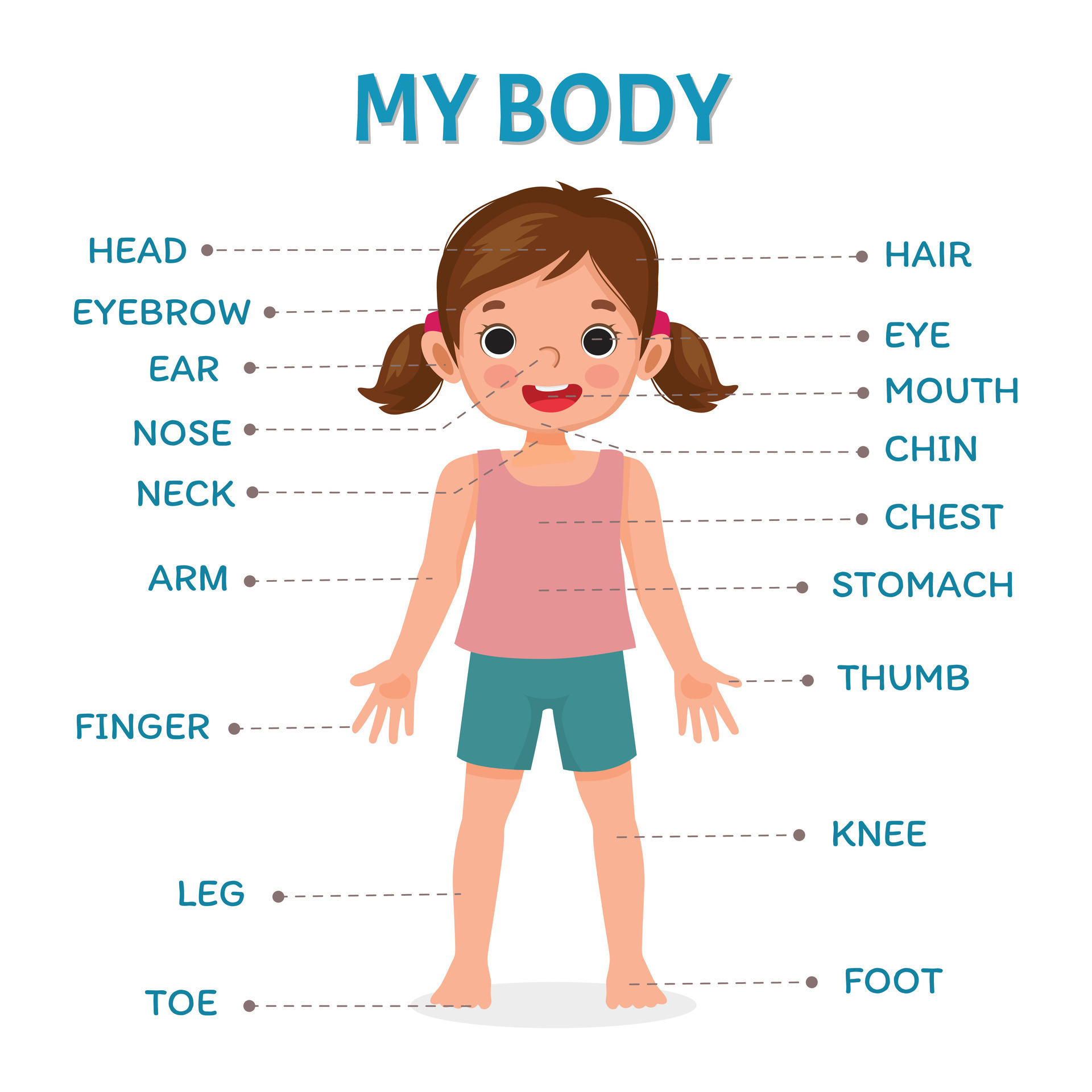 cute-little-girl-illustration-poster-of-human-body-parts-with-diagram-text-label-chart-for-kids-learning-educational-vector