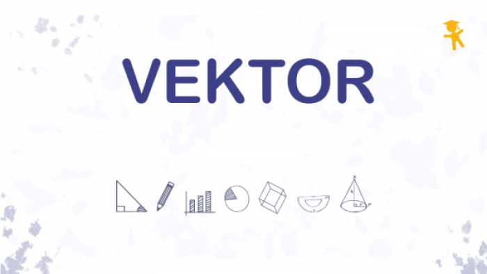 01-192_vektor-min