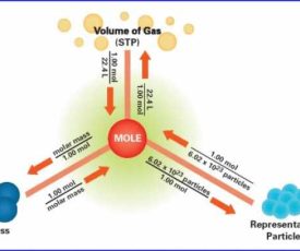 12224577_f520 12224577_f520