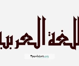 21img20231117wa0022