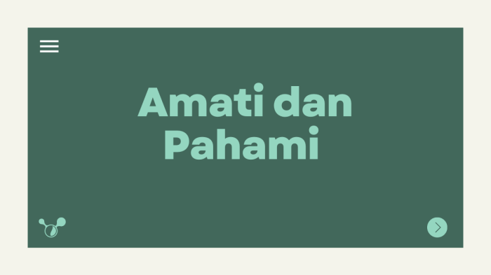 Amati dan Pahami