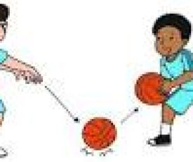 Basket bounce