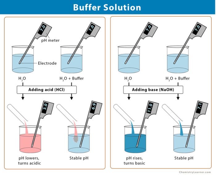 Buffer-Solution