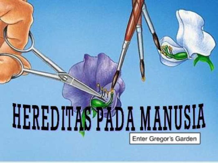 COVER_HEREDITAS_PADA_MANUSIA1