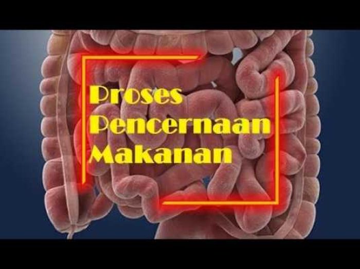 COVER_PENCERNAAN_MAKANAN