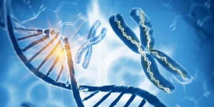 COVER_SUBSTANSI_GENETIKA