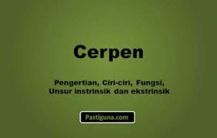 Cerpen1