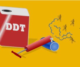 DDT
