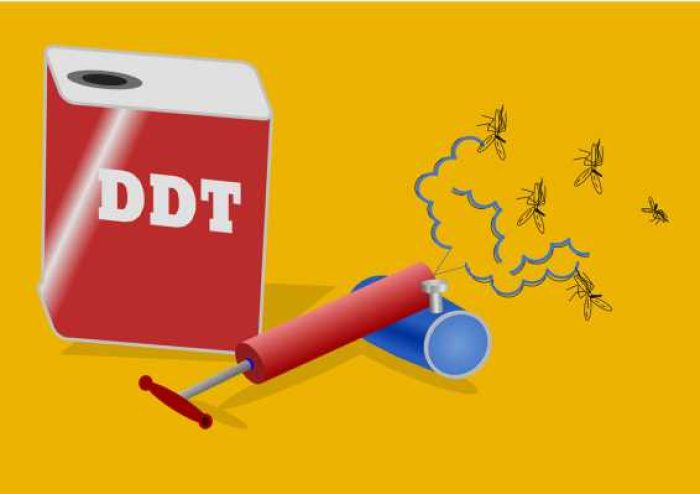 DDT