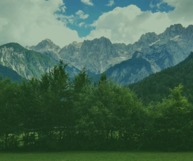 Desain tanpa judul (14)