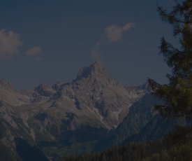 Desain tanpa judul (20)