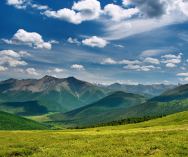 Desain tanpa judul (6)