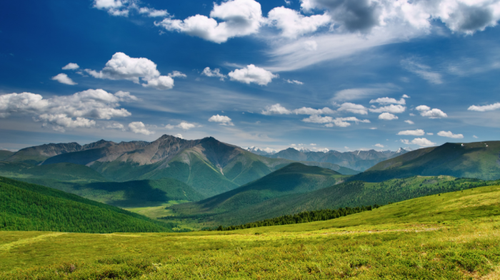 Desain tanpa judul (6)