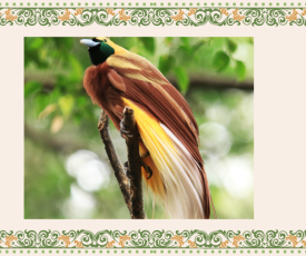 Desain tanpa judul (8)