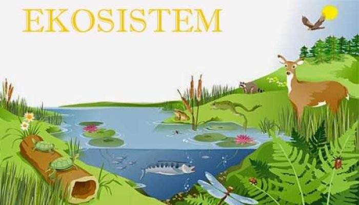 GAMBAR_Ekosistem
