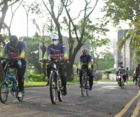 GOWES_1