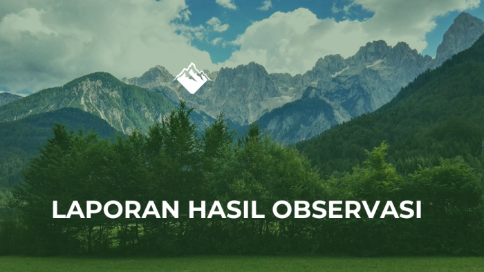 Laporan hasil observasi