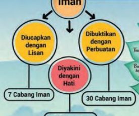 Macam-macam Syu’abul Iman, Cabang Iman yang Berkaitan dengan Niat, Aqidah dan Hati, Lisan dan Perbuatan dan Anggota Badan