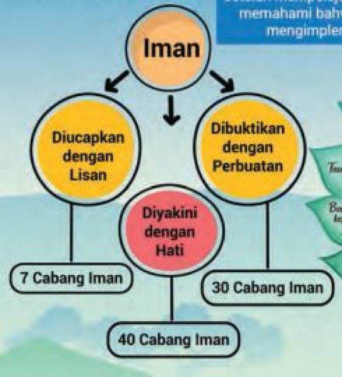 Macam-macam Syu’abul Iman, Cabang Iman yang Berkaitan dengan Niat, Aqidah dan Hati, Lisan dan Perbuatan dan Anggota Badan