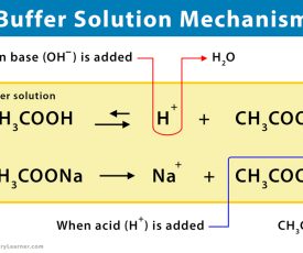 Mechanism-Buffer-Solution Mechanism-Buffer-Solution