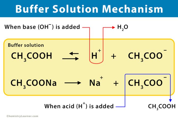 Mechanism-Buffer-Solution