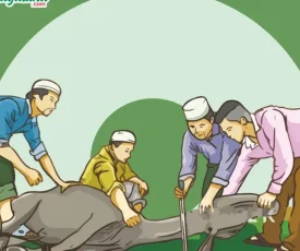 Muslim-Belgia-Gugat-Larangan-Penyembelihan-Hewan