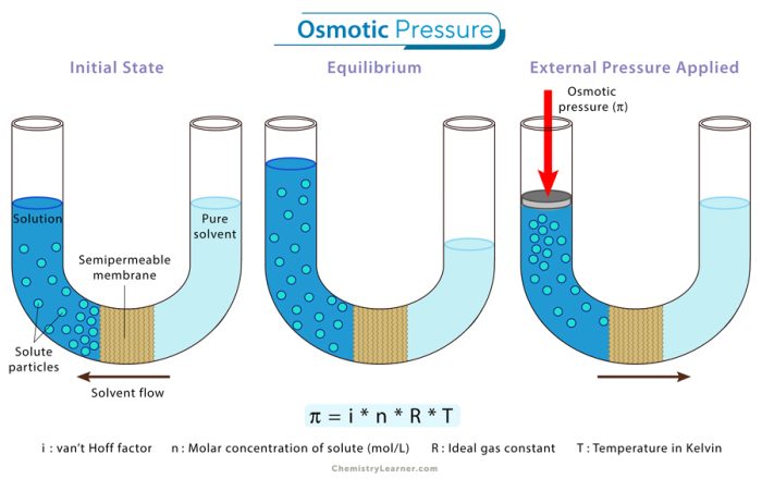 Osmotic-Pressure