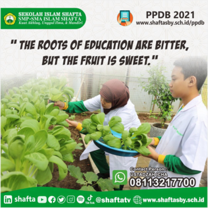 PPDB