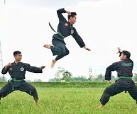 Pencak silat 9