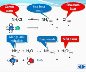 Pengertian-Hidrolisis-Garam