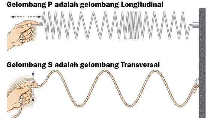 Perbedaangelombang-transversal-dan-gelombang-longitudinal