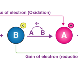 Redox-Reactions-1 Redox-Reactions-1