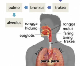 Screen_Shot_2021-01-16_at_12_56_34