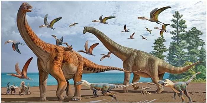 Screenshot_20-12-2025_75719_