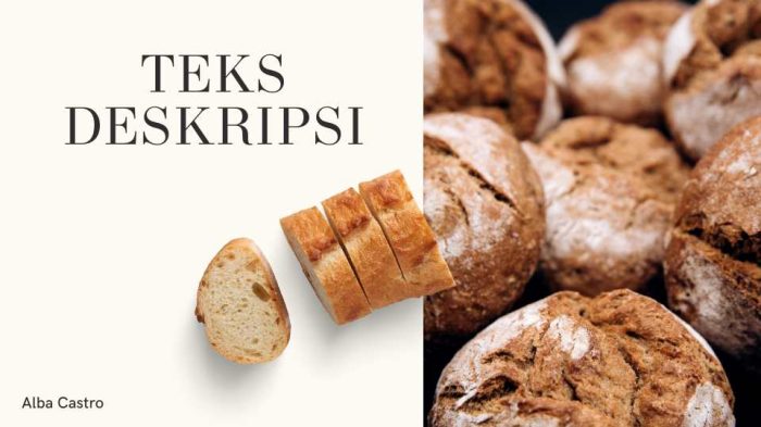 Teks deskripsi