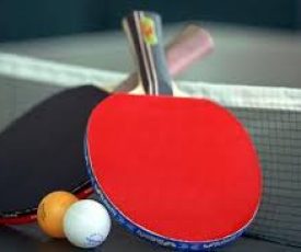 Tenis meja 1