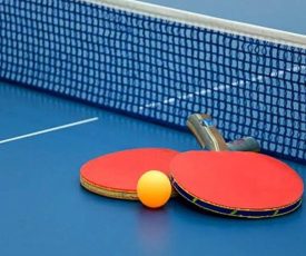 Tenis meja 2