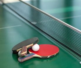 Tenis meja 3