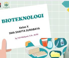 WhatsApp Image 2024-02-07 at 19.51.11