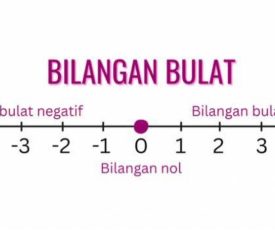 WhatsApp Image 2024-07-22 at 08.33.34