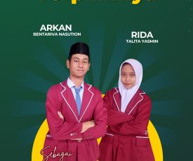 WhatsApp Image 2024-11-13 at 07.06.40