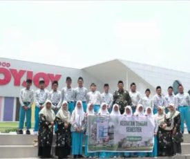 WhatsApp Image 2024-11-27 at 16.31.44_bcf35a06