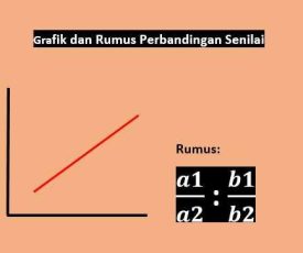 WhatsApp Image 2025-01-23 at 08.47.38