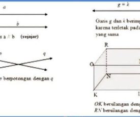 WhatsApp Image 2025-01-23 at 09.22.57